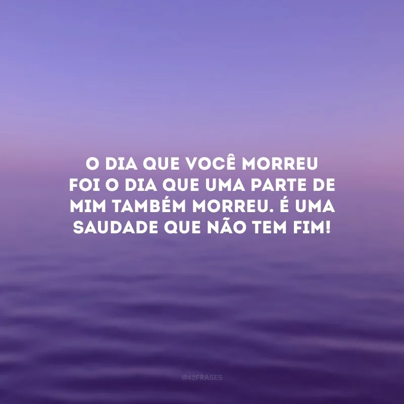 O dia que você morreu foi o dia que uma parte de mim também morreu. É uma saudade que não tem fim!