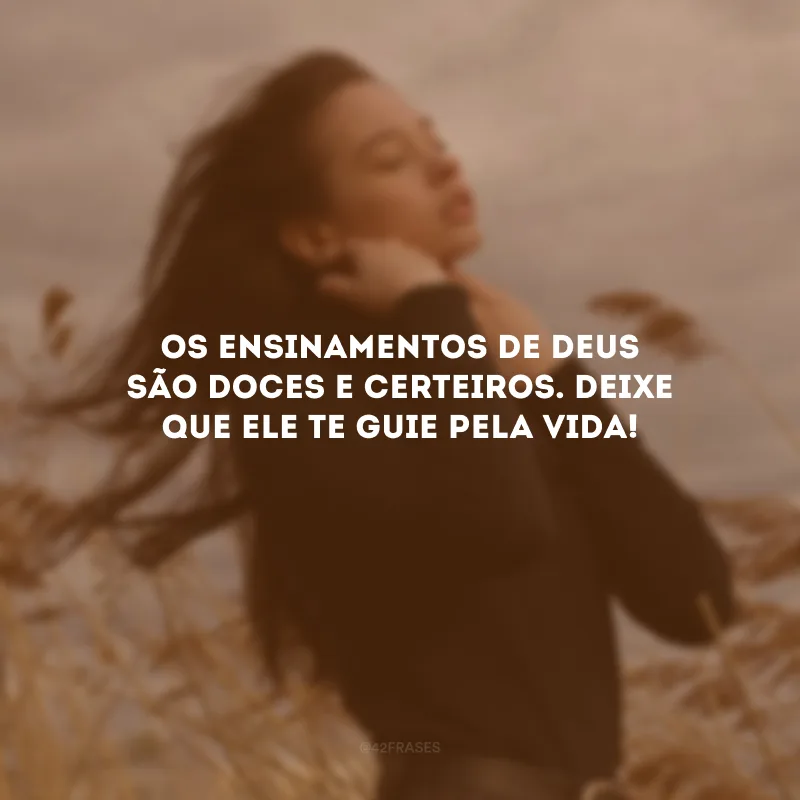 Os ensinamentos de Deus são doces e certeiros. Deixe que Ele te guie pela vida!