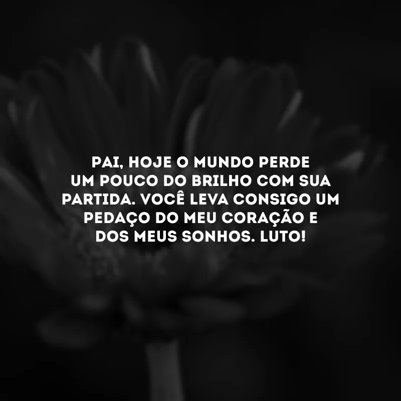 Pai, hoje o mundo perde um pouco do brilho com sua partida. Você leva consigo um pedaço do meu coração e dos meus sonhos. Luto!