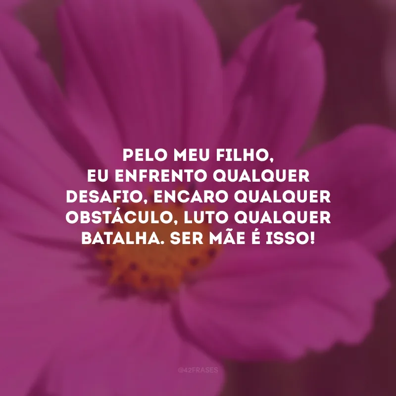 Pelo meu filho, eu enfrento qualquer desafio, encaro qualquer obstáculo, luto qualquer batalha. Ser mãe é isso! 