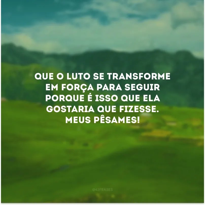 Que o luto se transforme em força para seguir porque é isso que ela gostaria que fizesse. Meus pêsames!