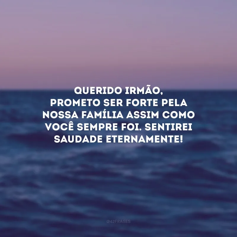 Querido irmão, prometo ser forte pela nossa família assim como você sempre foi. Sentirei saudade eternamente!