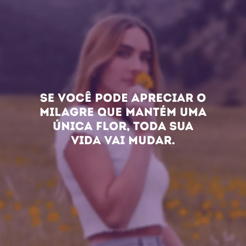 Se você pode apreciar o milagre que mantém uma única flor, toda sua vida vai mudar.