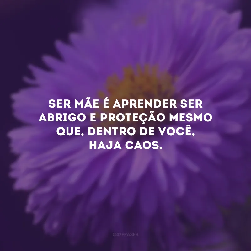 Ser mãe é aprender ser abrigo e proteção mesmo que, dentro de você, haja caos. 