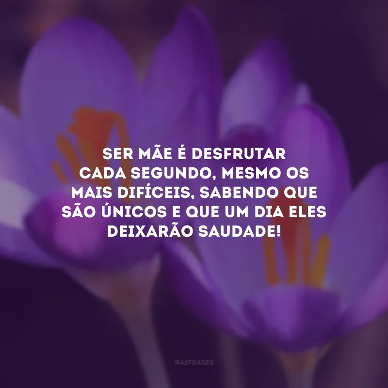 Ser mãe é desfrutar cada segundo, mesmo os mais difíceis, sabendo que são únicos e que um dia eles deixarão saudade!