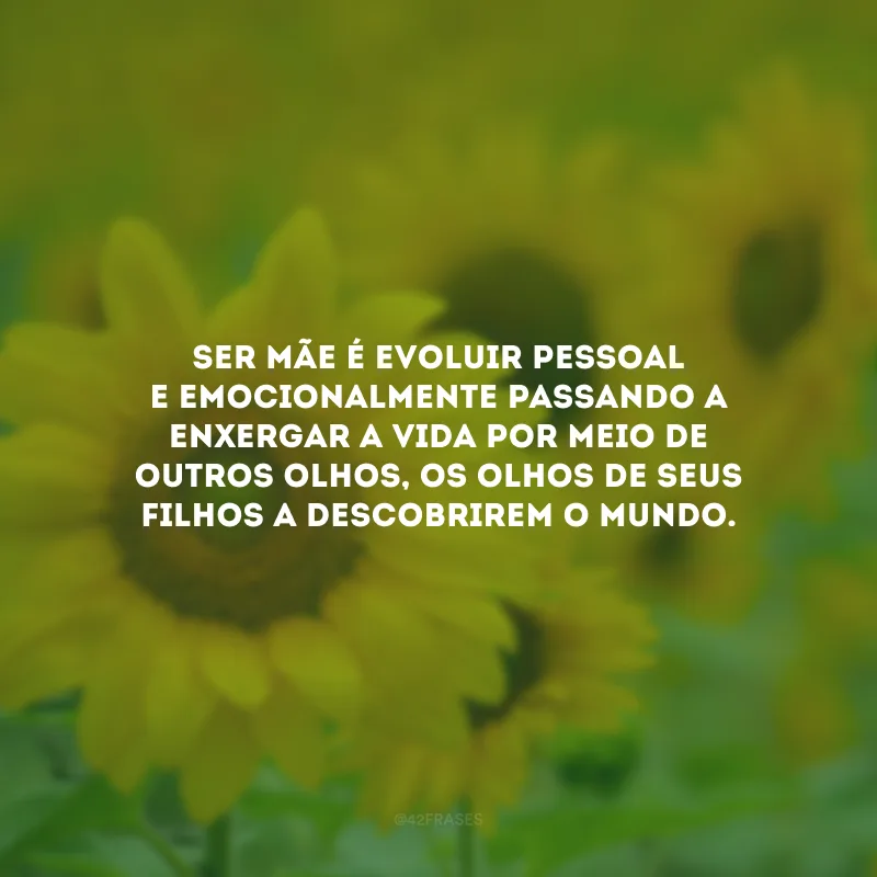 Ser mãe é evoluir pessoal e emocionalmente passando a enxergar a vida por meio de outros olhos, os olhos de seus filhos a descobrirem o mundo.