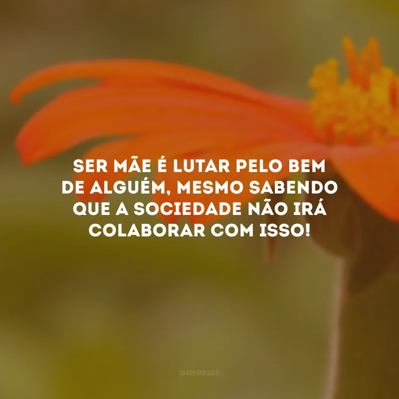 Ser mãe é lutar pelo bem de alguém, mesmo sabendo que a sociedade não irá colaborar com isso! 