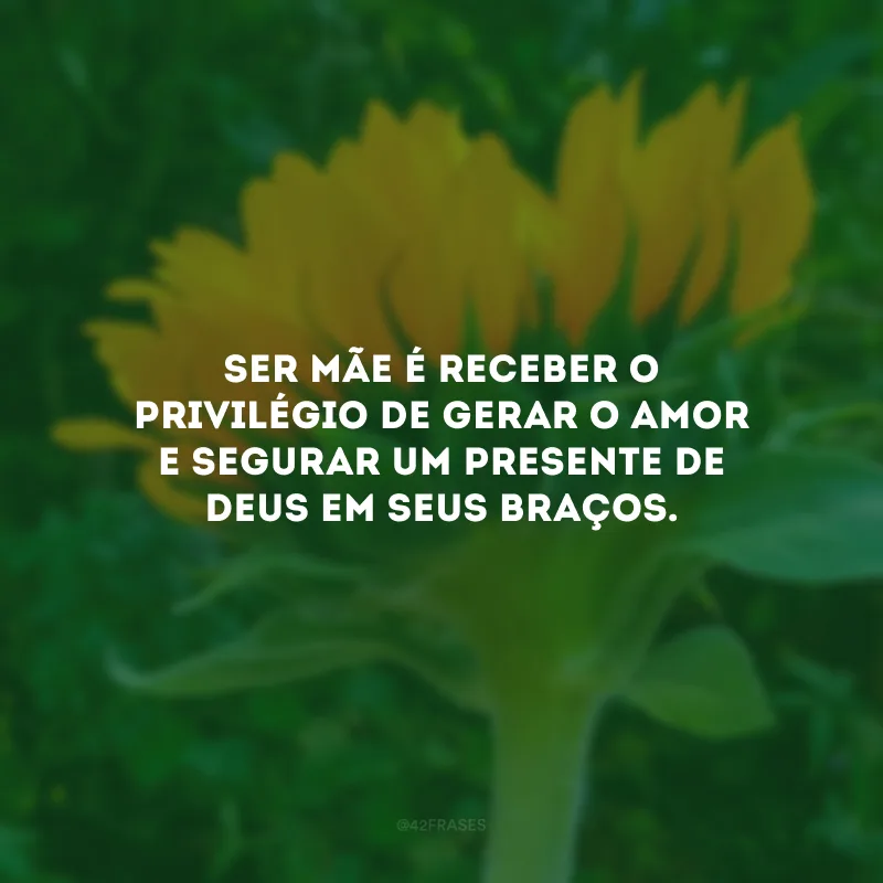 Ser mãe é receber o privilégio de gerar o amor e segurar um presente de Deus em seus braços. 