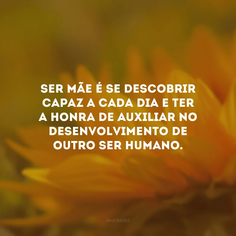 Ser mãe é se descobrir capaz a cada dia e ter a honra de auxiliar no desenvolvimento de outro ser humano.