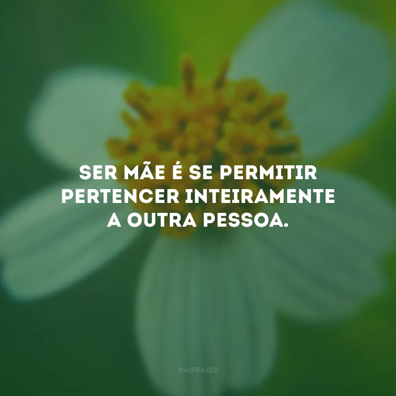 Ser mãe é se permitir pertencer inteiramente a outra pessoa.