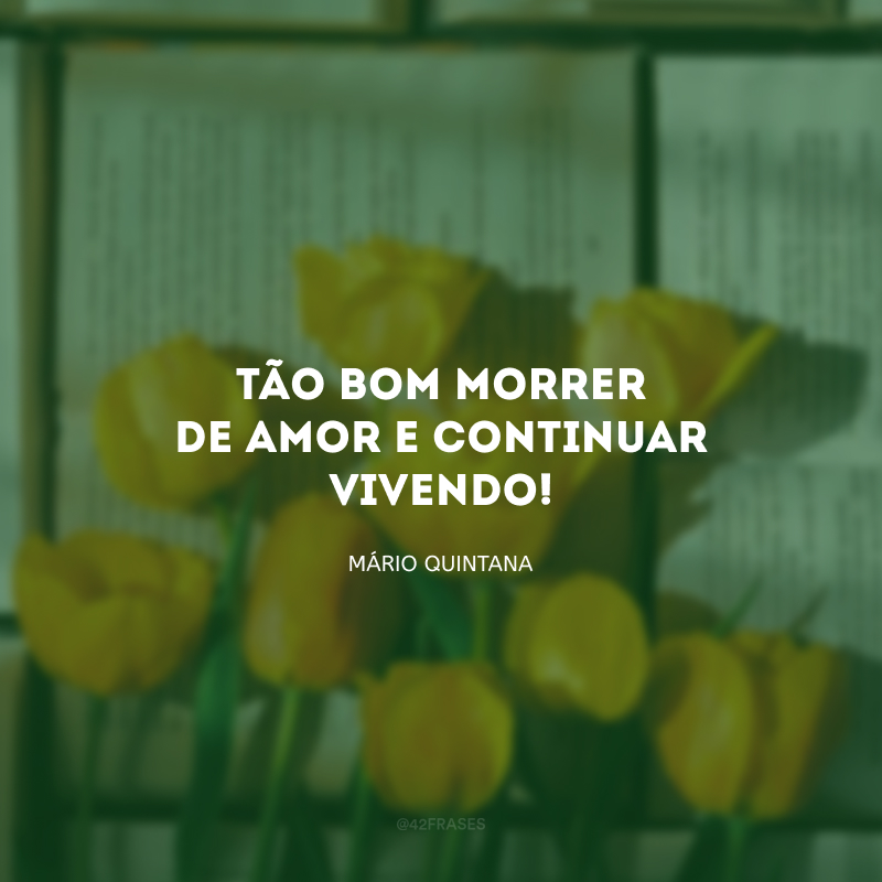 Tão bom morrer de amor e continuar vivendo!