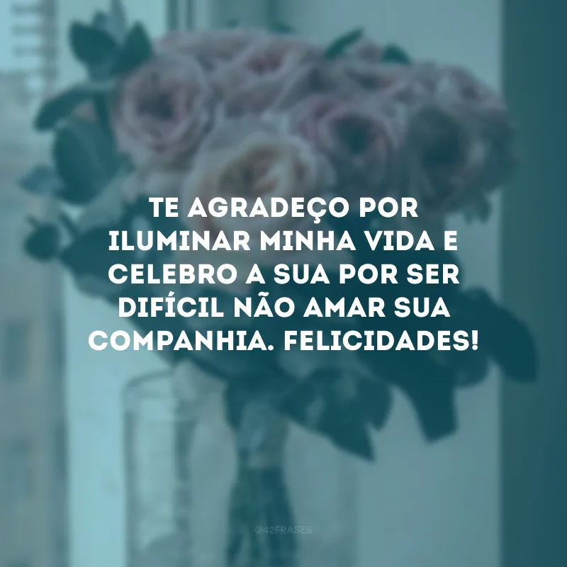 Te agradeço por iluminar minha vida e celebro a sua por ser difícil não amar sua companhia. Felicidades!