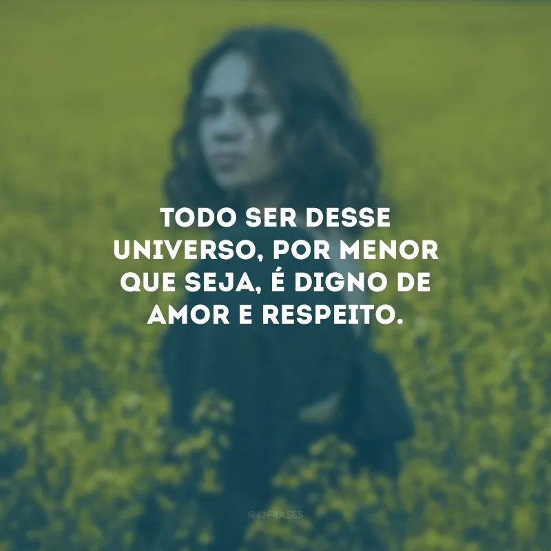 Todo ser desse universo, por menor que seja, é digno de amor e respeito.
