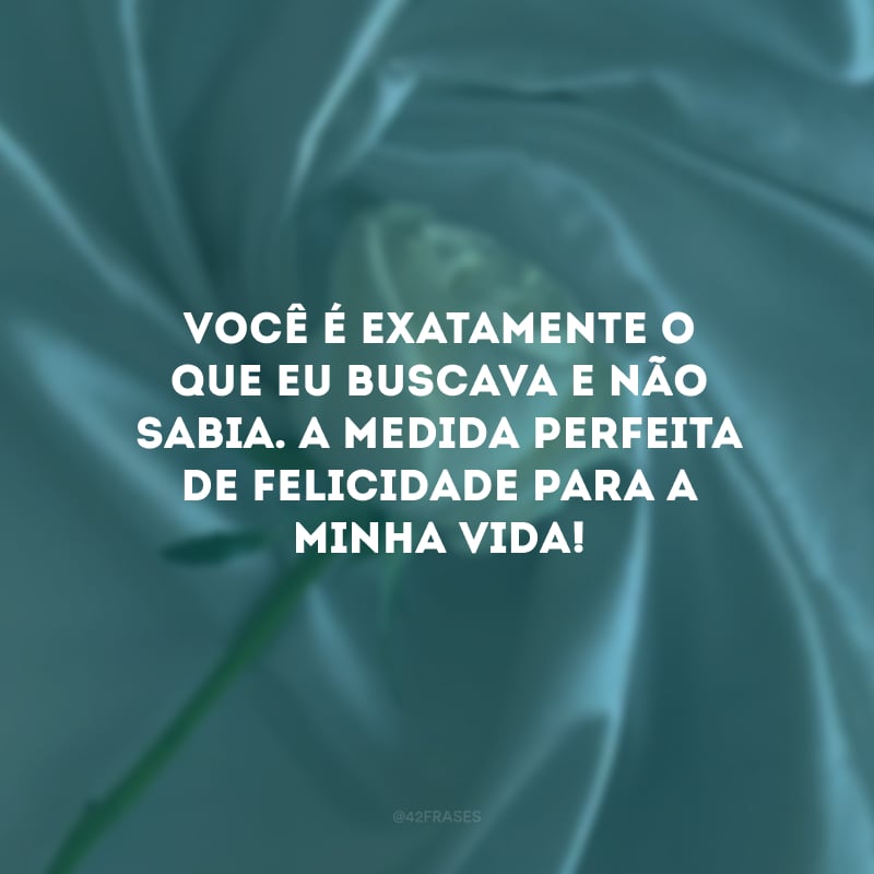 Você é exatamente o que eu buscava e não sabia. A medida perfeita de felicidade para a minha vida!