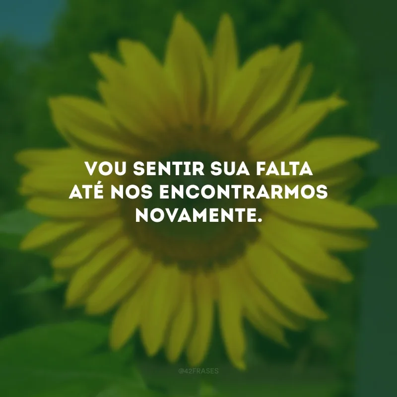 Vou sentir sua falta até nos encontrarmos novamente.