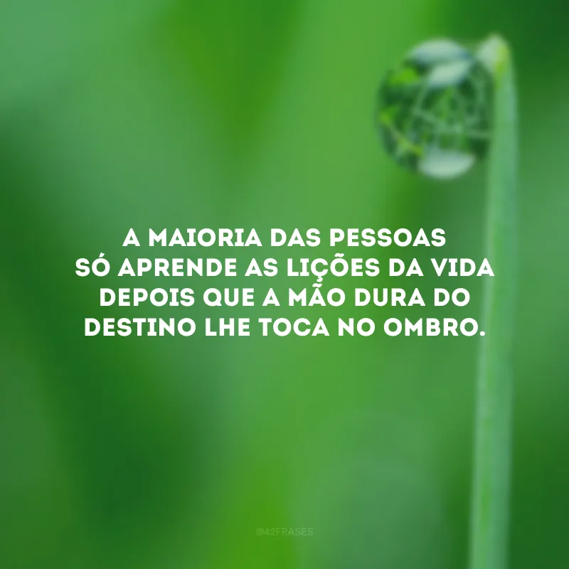 A maioria das pessoas só aprende as lições da vida depois que a mão dura do destino lhe toca no ombro.