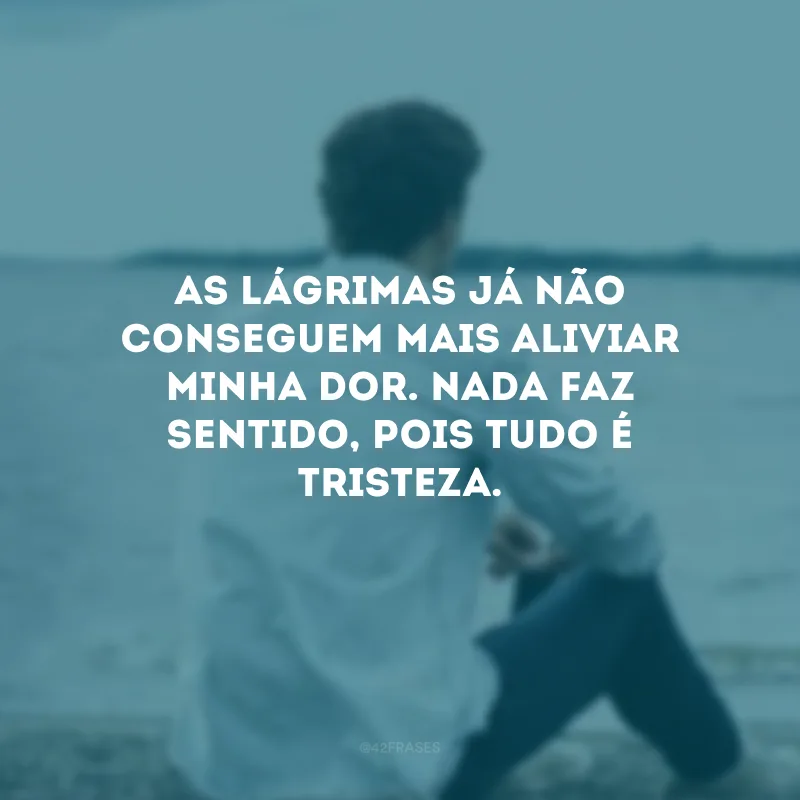 As lágrimas já não conseguem mais aliviar minha dor. Nada faz sentido, pois tudo é tristeza.