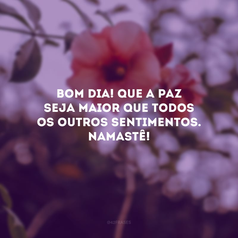 Bom dia! Que a paz seja maior que todos os outros sentimentos. Namastê!