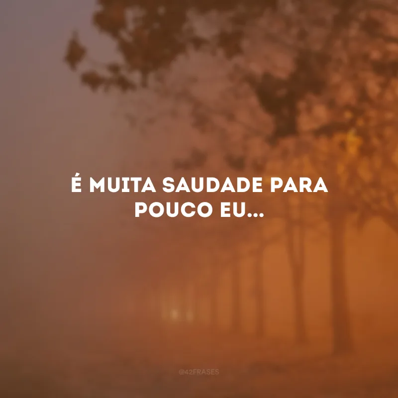 É muita saudade para pouco eu...