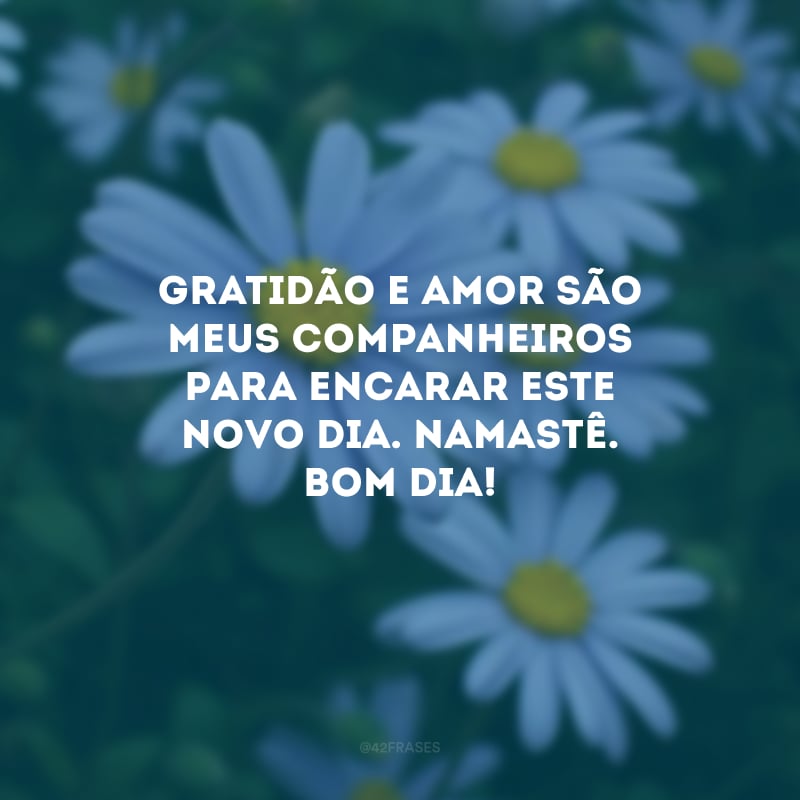 Gratidão e amor são meus companheiros para encarar este novo dia. Namastê. Bom dia!