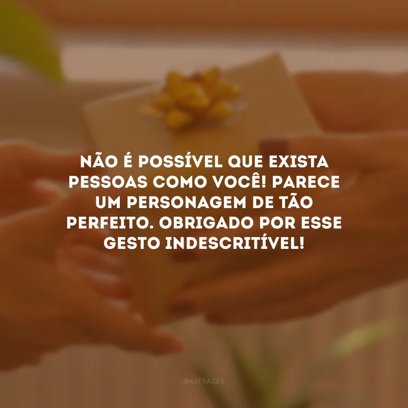 Não é possível que exista pessoas como você! Parece um personagem de tão perfeito. Obrigado por esse gesto indescritível!