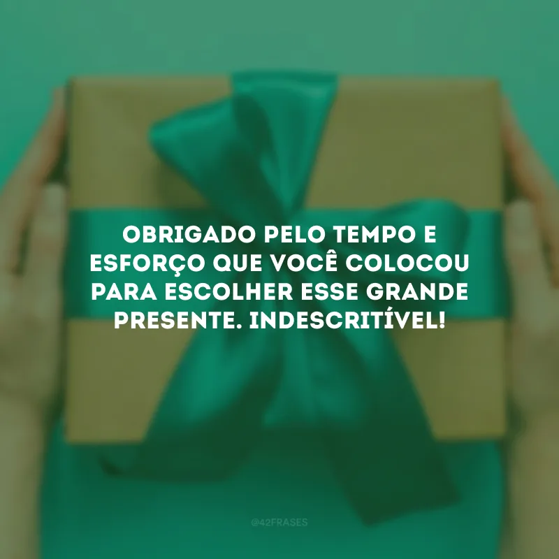 Obrigado pelo tempo e esforço que você colocou para escolher esse grande presente. Indescritível!
