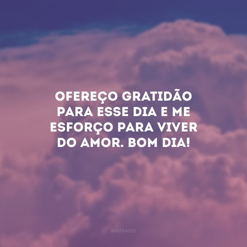 Ofereço gratidão para esse dia e me esforço para viver do amor. Bom dia!