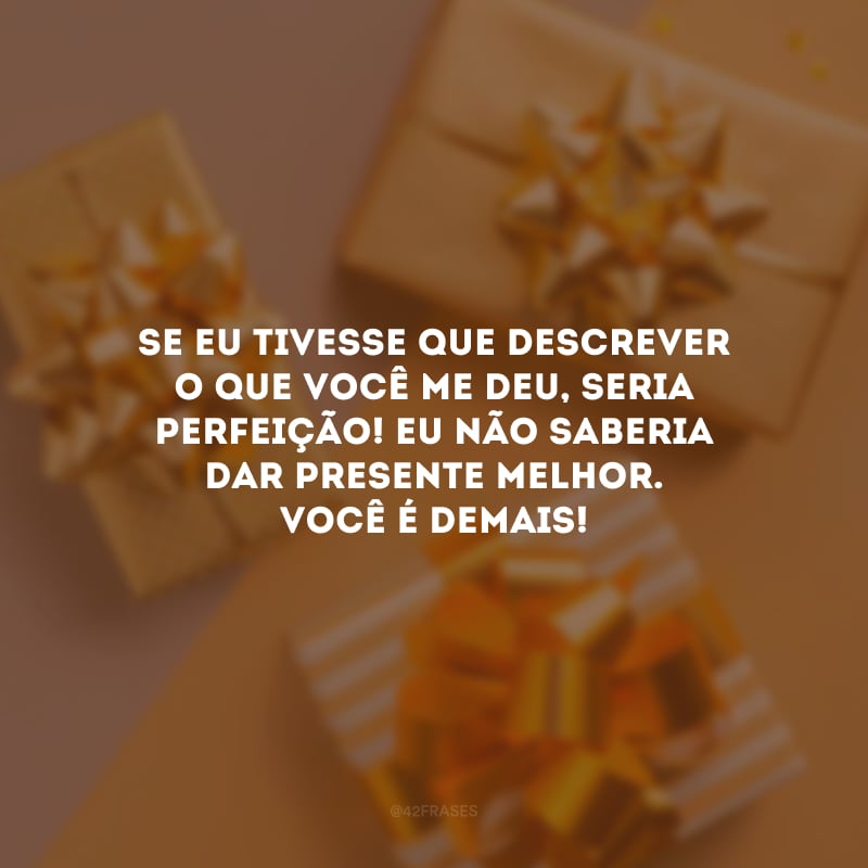 Se eu tivesse que descrever o que você me deu, seria perfeição! Eu não saberia dar presente melhor. Você é demais!
