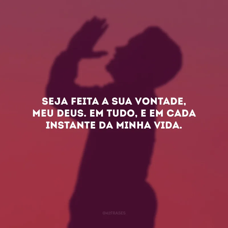 Seja feita a sua vontade, meu Deus. Em tudo, e em cada instante da minha vida.