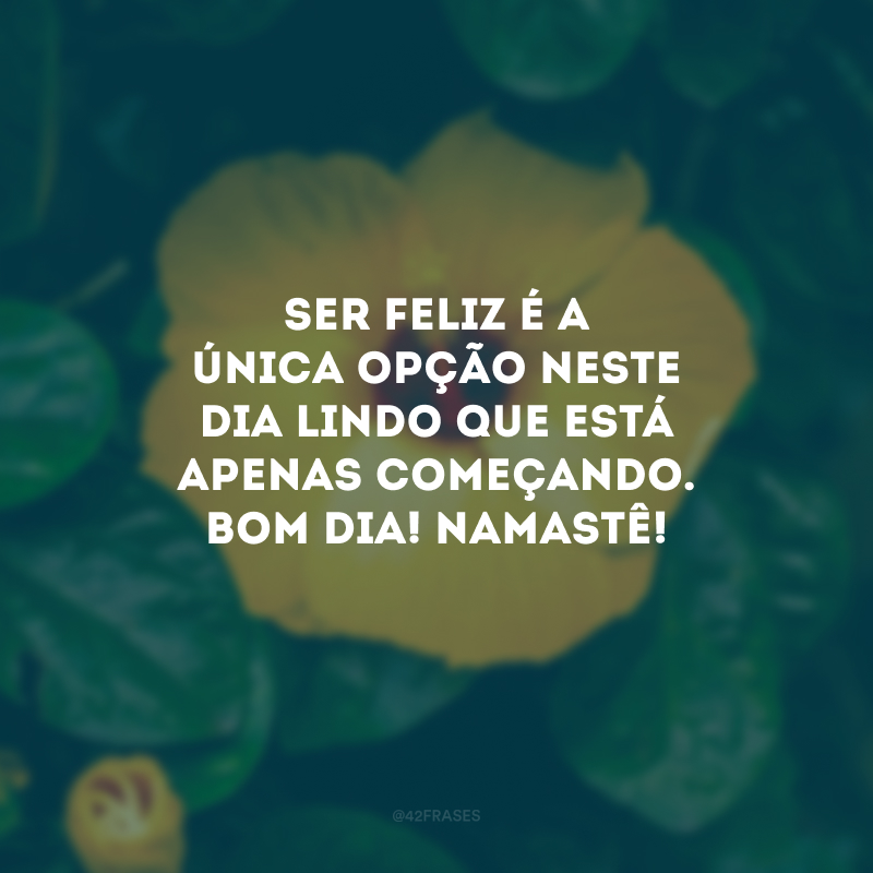 Ser feliz é a única opção neste dia lindo que está apenas começando. Bom dia! Namastê!