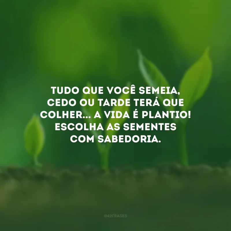 Tudo que você semeia, cedo ou tarde terá que colher... A vida é plantio! Escolha as sementes com sabedoria.