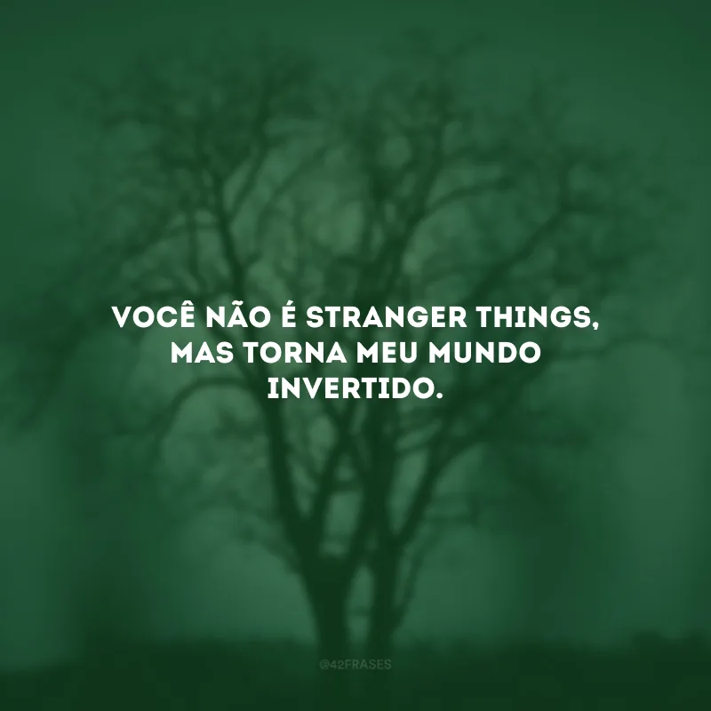 Você não é Stranger Things, mas torna meu mundo invertido.