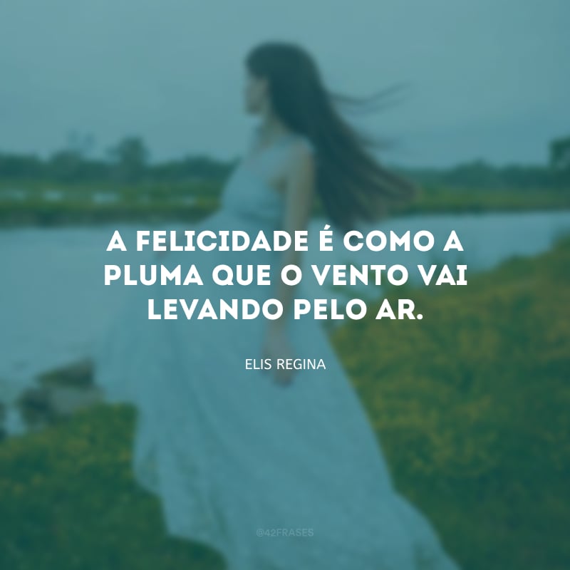 A felicidade é como a pluma que o vento vai levando pelo ar. 