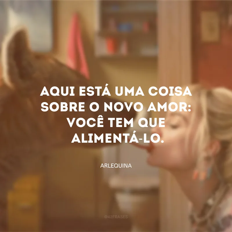 Não foi fácil. Mas depois de um tempo, até me abri para a possibilidade de um novo amor. Aqui está uma coisa sobre o novo amor... Você tem que alimentá-lo.


