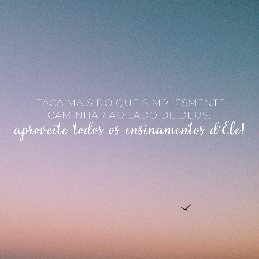 Faça mais do que simplesmente caminhar ao lado de Deus, aproveite todos os ensinamentos d\'Ele!
