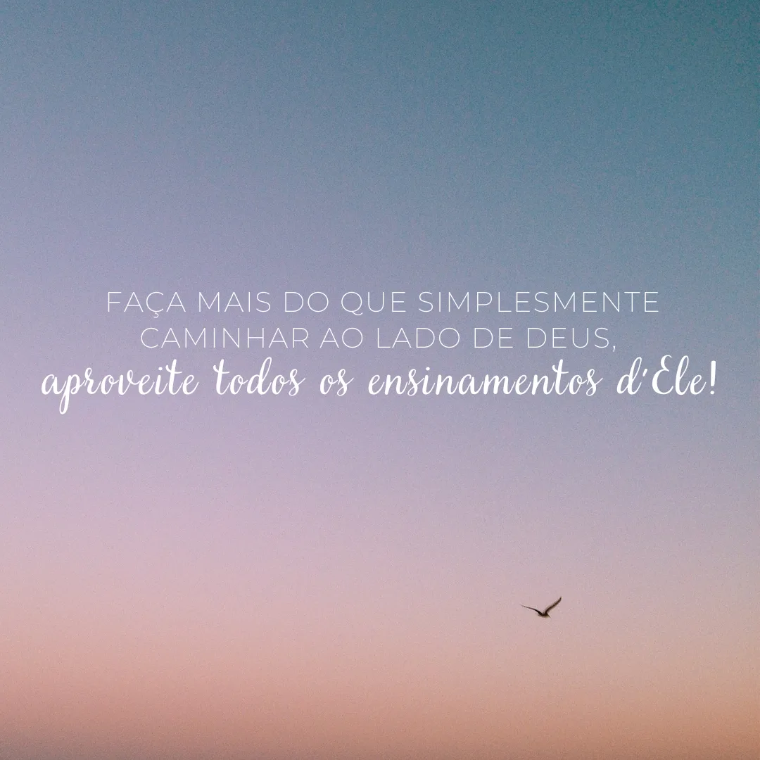 Faça mais do que simplesmente caminhar ao lado de Deus, aproveite todos os ensinamentos d\'Ele!
