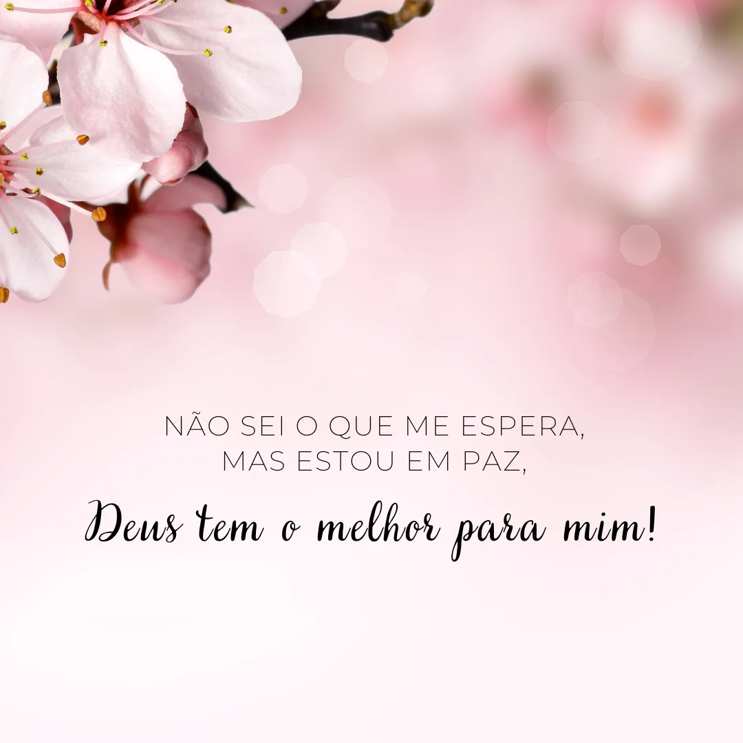 Não sei o que me espera, mas estou em paz, Deus tem o melhor para mim!