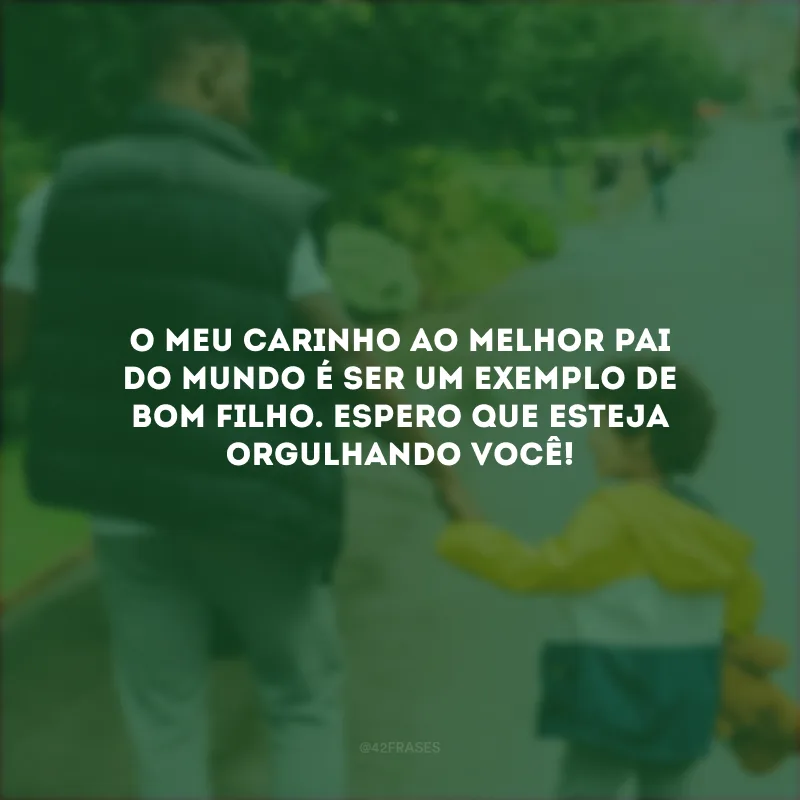 O meu carinho ao melhor pai do mundo é ser um exemplo de bom filho. Espero que esteja orgulhando você!