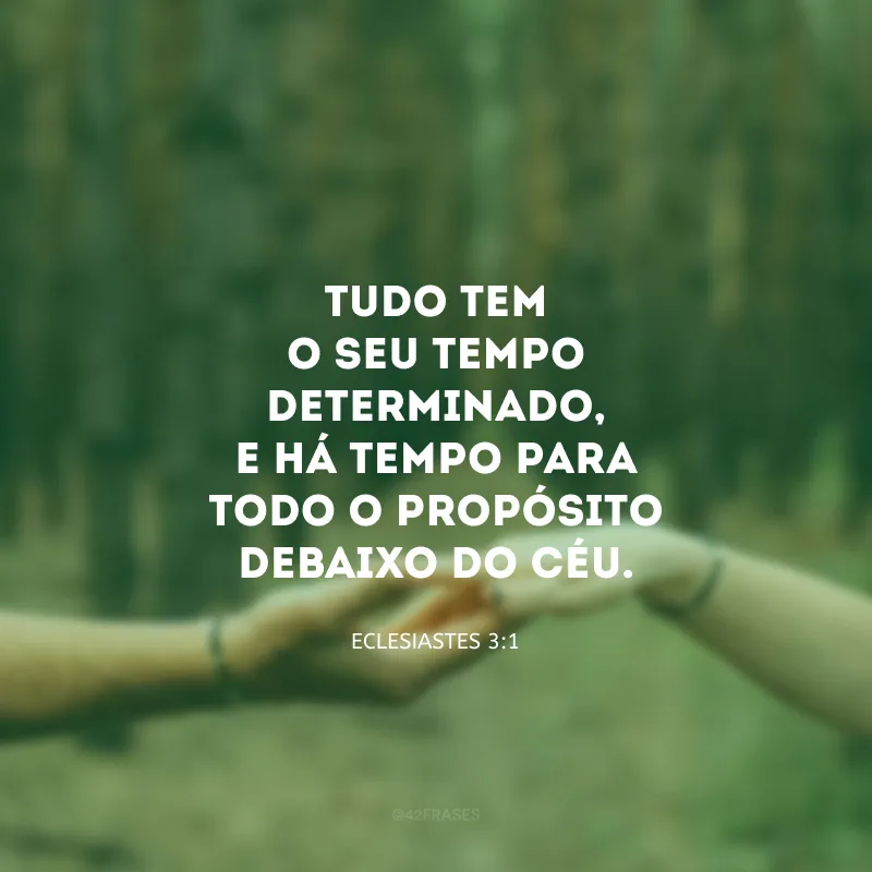 Tudo tem o seu tempo determinado, e há tempo para todo o propósito debaixo do céu. 