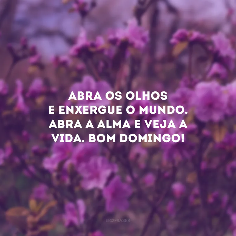 Abra os olhos e enxergue o mundo. Abra a alma e veja a vida. Bom domingo!