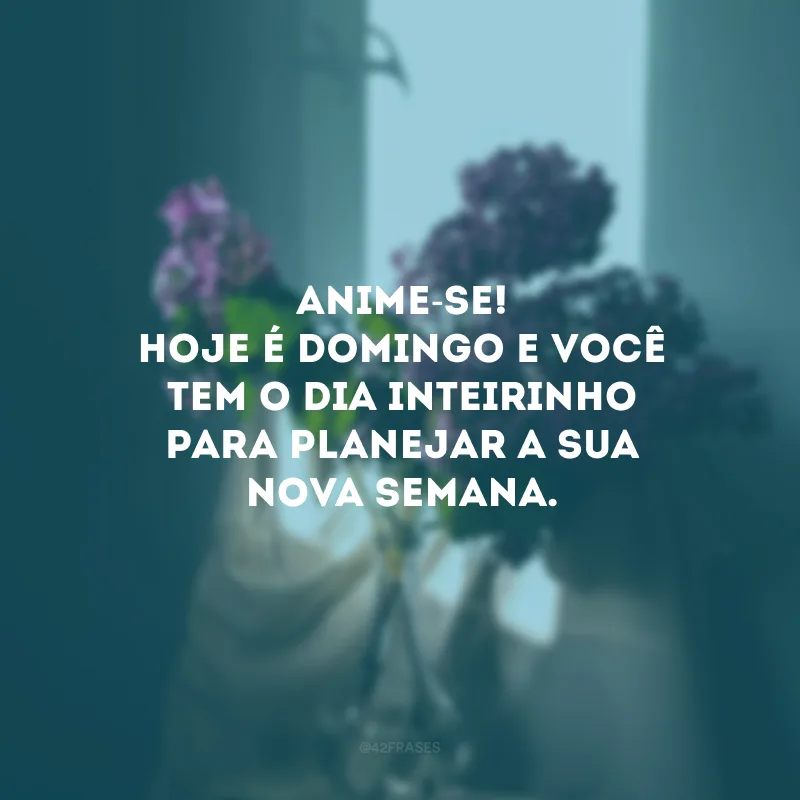 Anime-se! Hoje é domingo e você tem o dia inteirinho para planejar a sua nova semana.