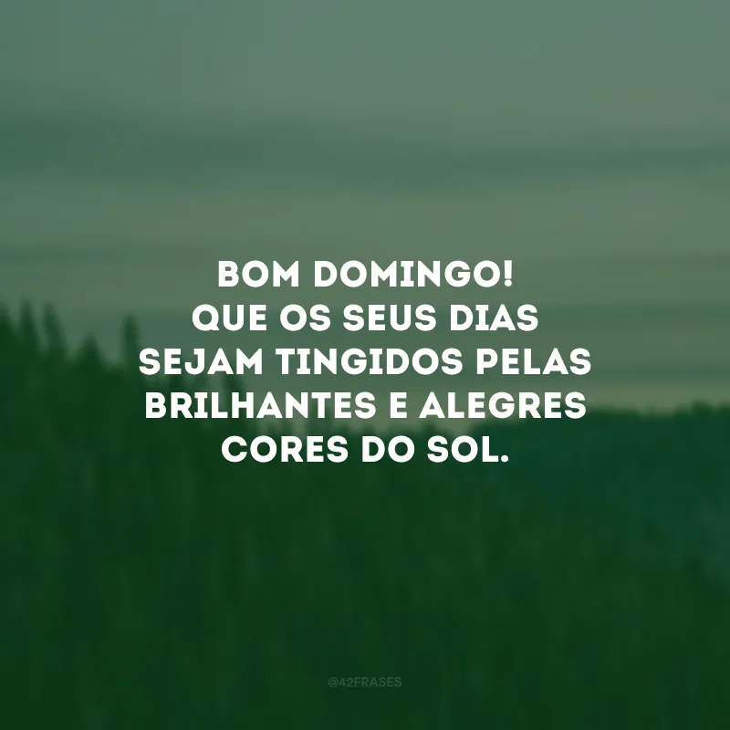 Bom domingo! Que os seus dias sejam tingidos pelas brilhantes e alegres cores do sol. 