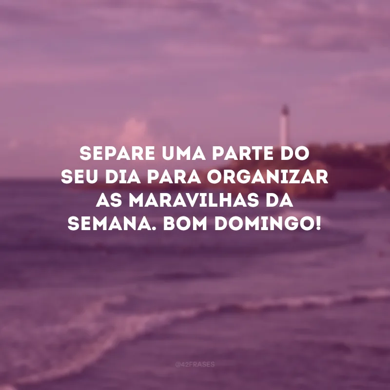 Separe uma parte do seu dia para organizar as maravilhas da semana. Bom domingo! 