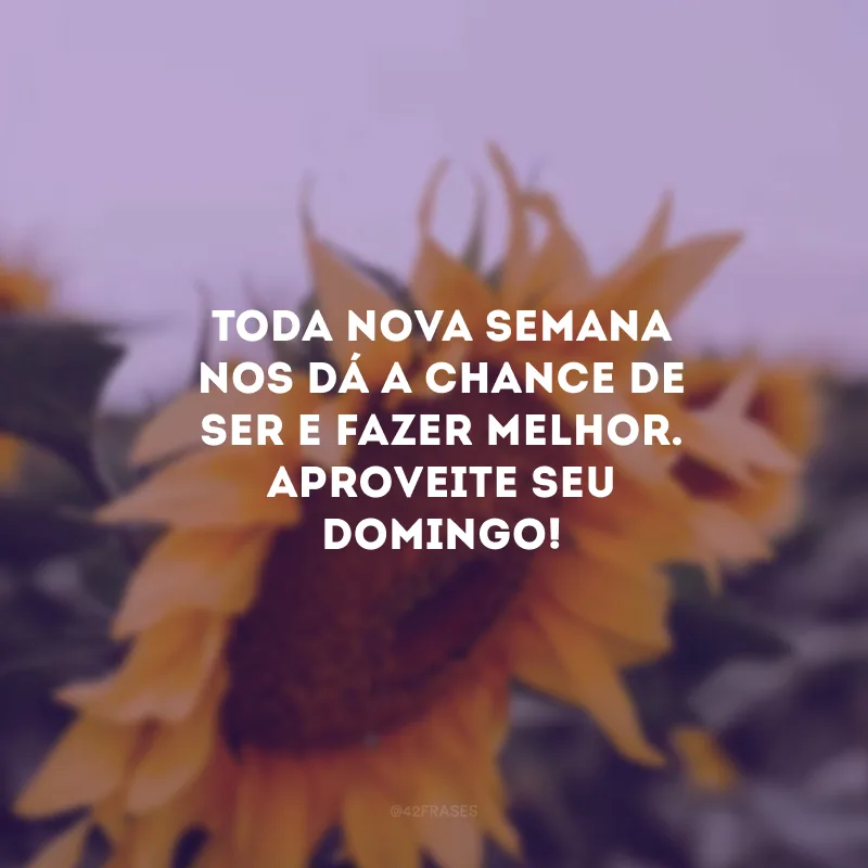 Toda nova semana nos dá a chance de ser e fazer melhor. Aproveite seu domingo!