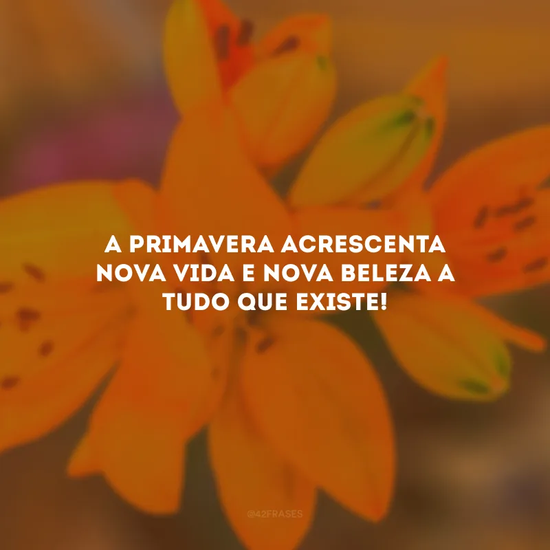 A primavera acrescenta nova vida e nova beleza a tudo que existe!