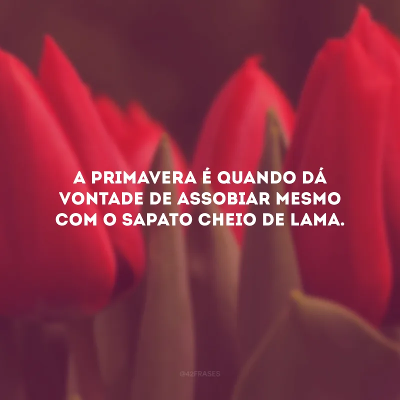 A primavera é quando dá vontade de assobiar mesmo com o sapato cheio de lama.