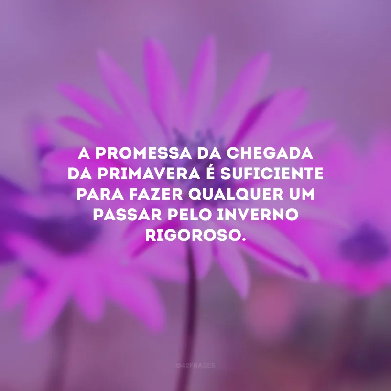 A promessa da chegada da primavera é suficiente para fazer qualquer um passar pelo inverno rigoroso.