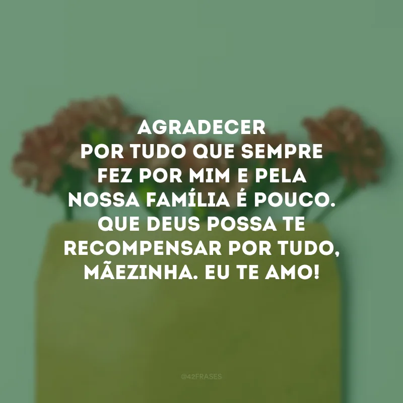 Agradecer por tudo que sempre fez por mim e pela nossa família é pouco. Que Deus possa te recompensar por tudo, mãezinha. Eu te amo!