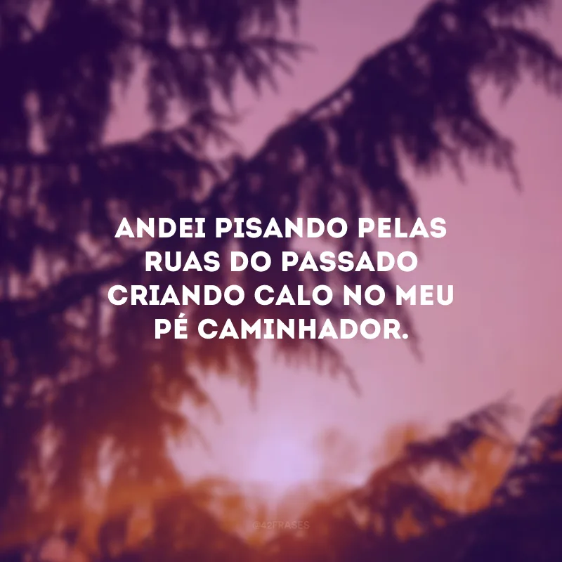 Andei pisando pelas ruas do passado criando calo no meu pé caminhador. 