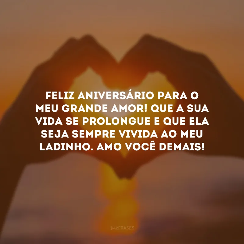 Feliz aniversário para o meu grande amor! Que a sua vida se prolongue e que ela seja sempre vivida ao meu ladinho. Amo você demais!